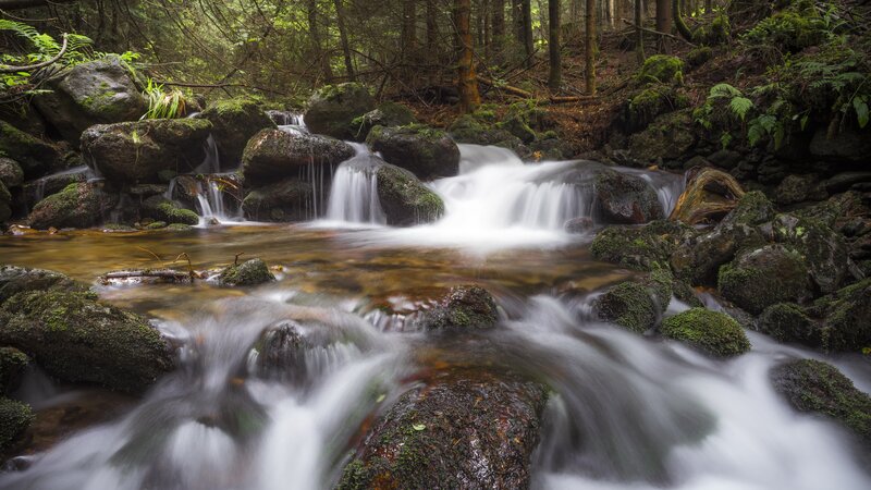 Stream Flowing over Rocks — Green, Serene, Morning, Photograph, Forest, Moss, Trees