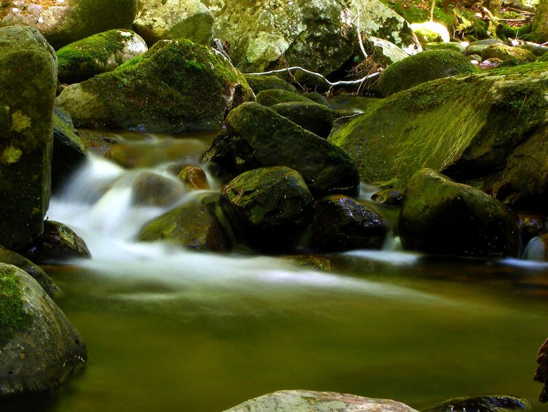 Stream Flowing over Rocks — Green, Serene, Morning, Photograph, Moss, Water