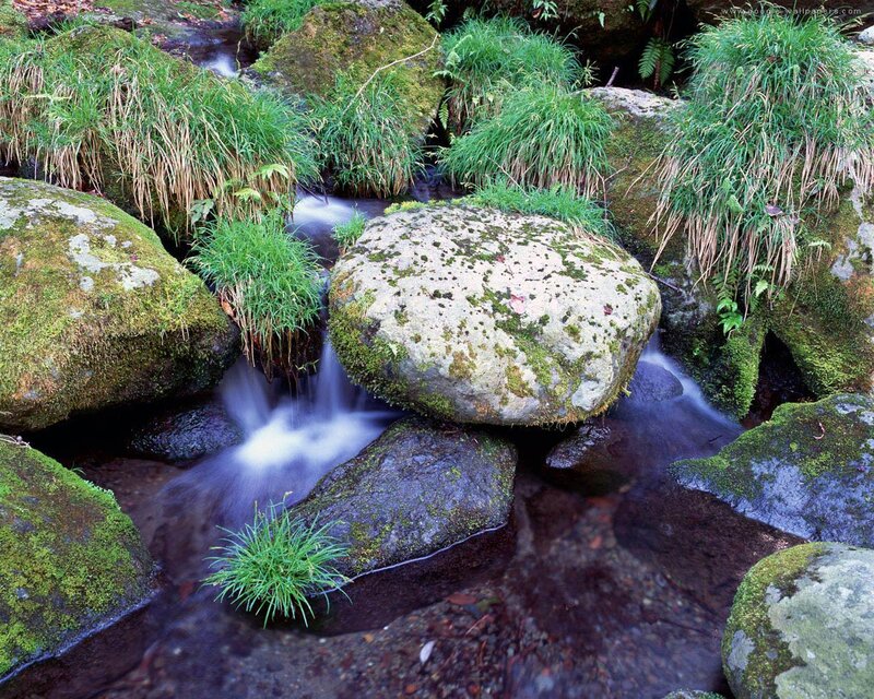 Stream Flowing over Rocks — Green, Serene, Morning