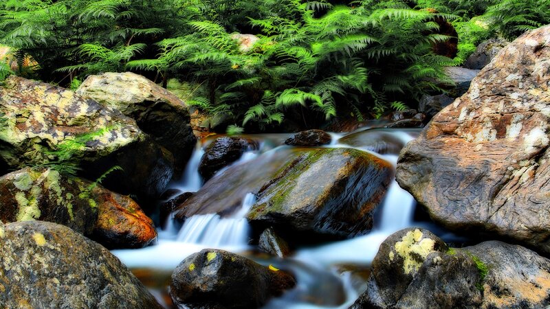 Stream Flowing over Rocks — Green, Serene, Photograph, Ferns