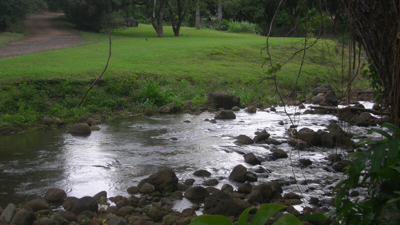 Stream Flowing over Rocks — Green, Serene, Photograph, Grass