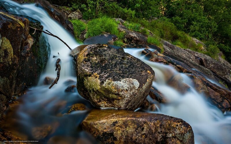 Stream Flowing over Rocks — Green, Serene, Photograph, Grass, Trees