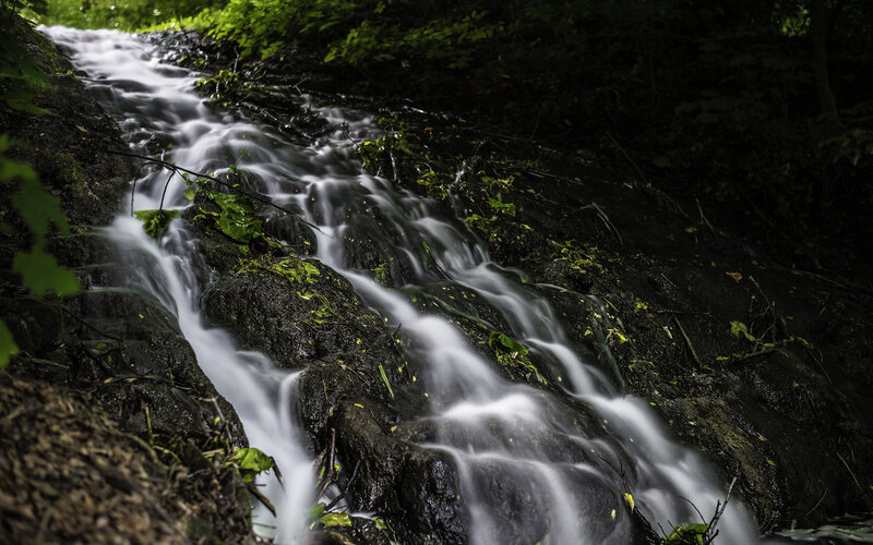 Stream Flowing over Rocks — Green, Serene, Photograph, Leaves, Forest