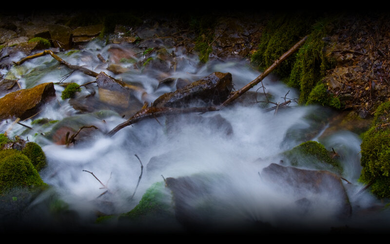 Stream Flowing over Rocks — Green, Serene, Photograph, Moss, Branches