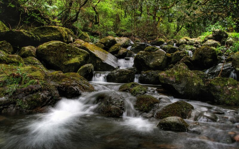 Stream Flowing over Rocks — Green, Serene, Photograph, Moss, Forest