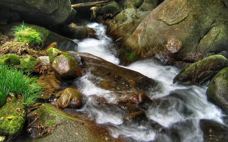 Stream Flowing over Rocks — Green, Serene, Photograph, Moss, Grass