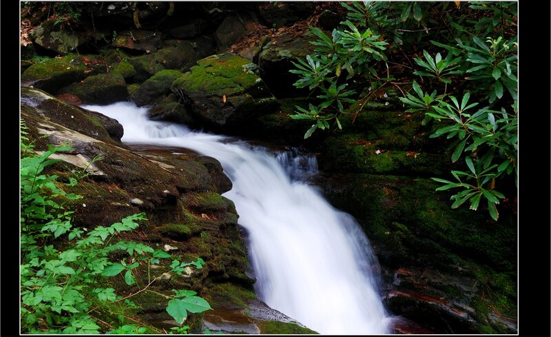 Stream Flowing over Rocks — Green, Serene, Photograph, Moss, Plants
