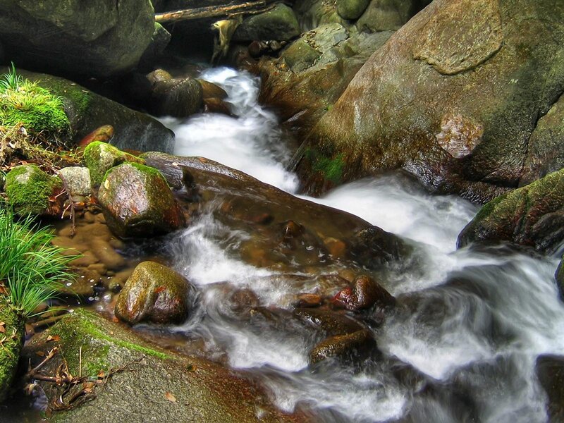 Stream Flowing over Rocks — Green, Serene, Photograph, Moss, Plants, Water