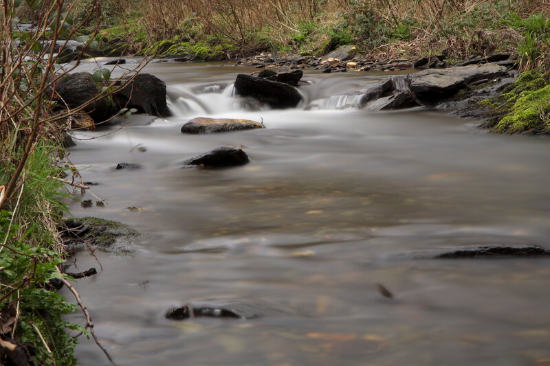 Stream Flowing over Rocks — Green, Serene, Photograph, Moss
