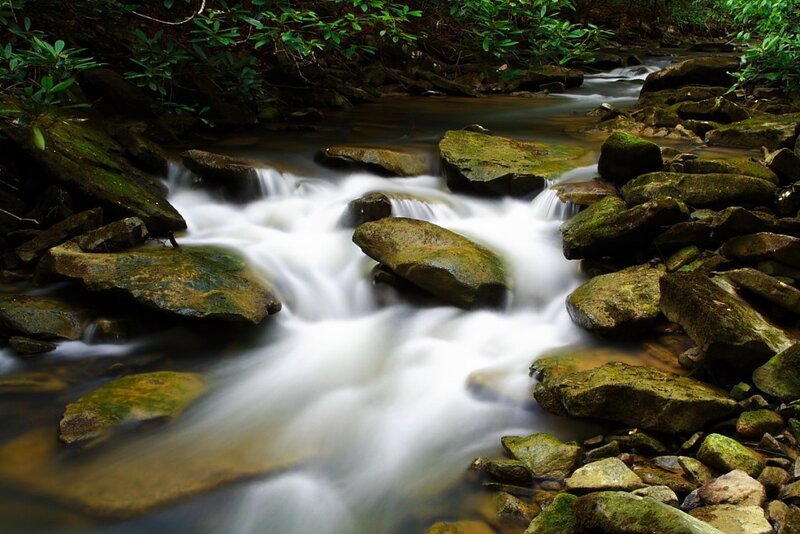 Stream Flowing over Rocks — Green, Serene, Photograph, Moss, Trees