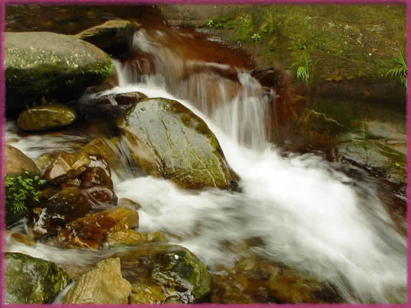 Stream Flowing over Rocks — Green, Serene, Photograph, Moss, Water, Brown, White