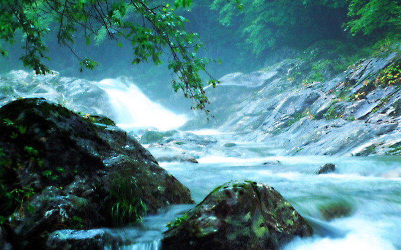Stream Flowing over Rocks — Green, Serene, Photograph, River