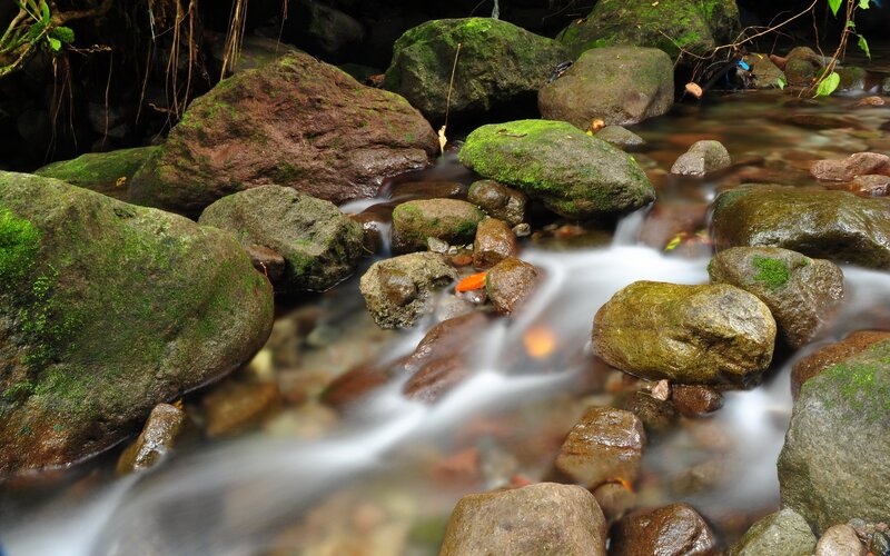 Stream Flowing over Rocks — Green, Serene, Photograph