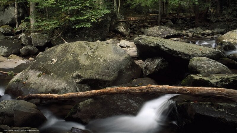 Stream Flowing over Rocks — Green, Serene, Photograph, Trees, Fallen Log