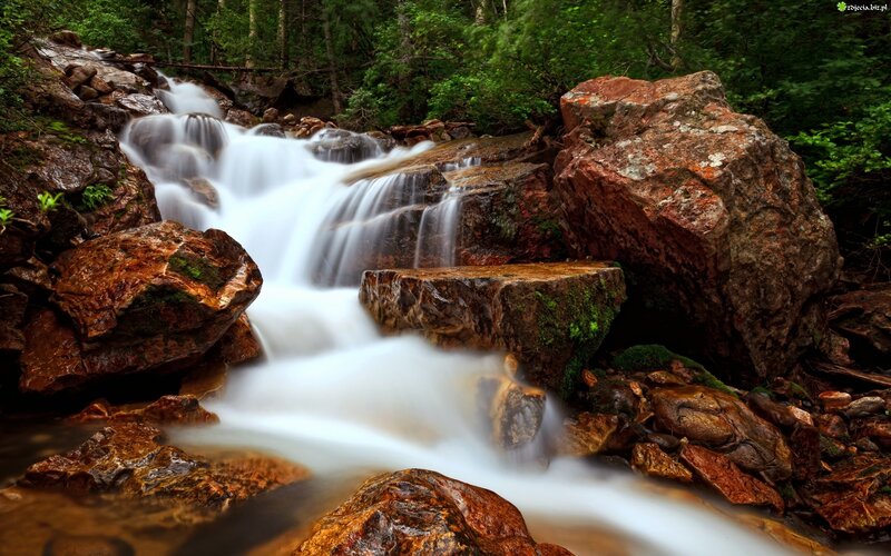 Stream Flowing over Rocks — Green, Serene, Photograph, Trees, Moss