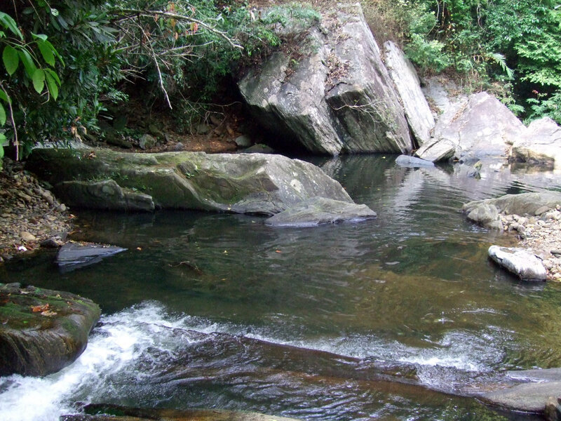 Stream Flowing over Rocks — Green, Serene, Photograph, Trees, Water, Brown, Gray