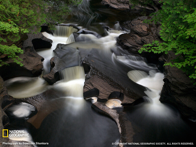 Stream Flowing over Rocks — Green, Serene, Photograph, Trees, Water, Brown, White