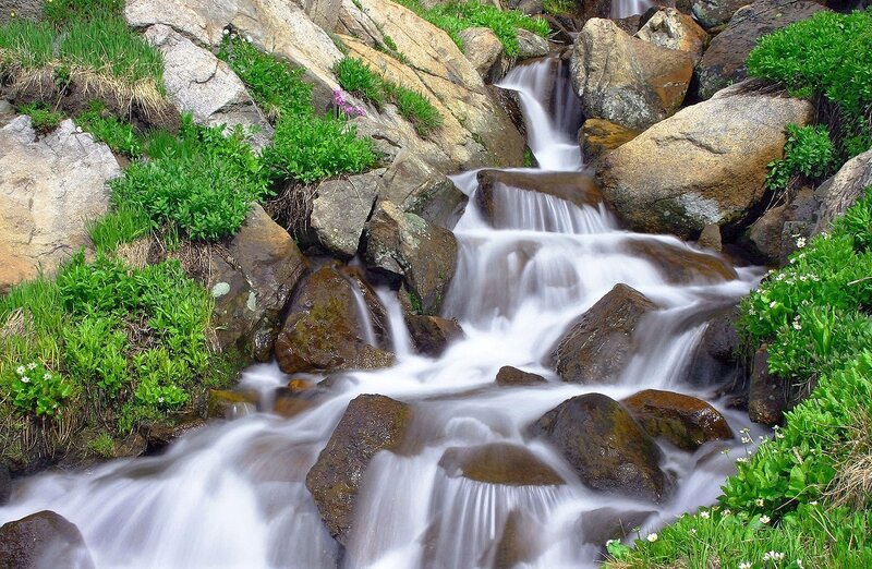 Stream Flowing over Rocks — Green, Serene, Spring, Photograph, Plants