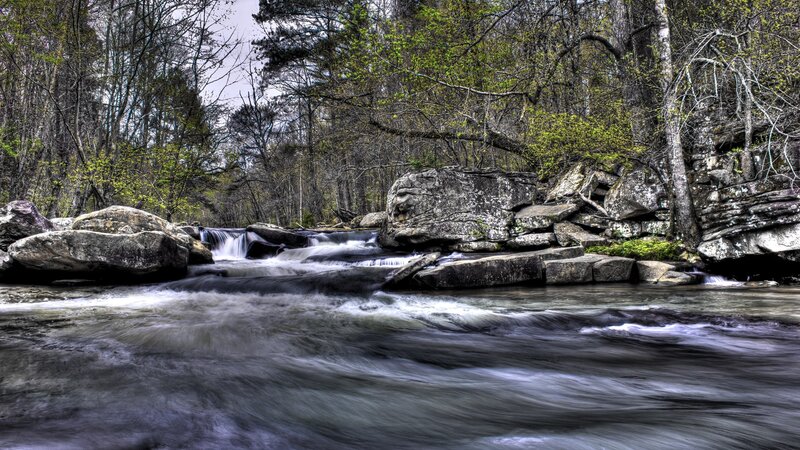Stream Flowing over Rocks — Green, Serene, Spring, Photograph, Trees, Forest