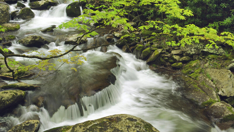Stream Flowing over Rocks — Green, Serene, Spring, Photograph, Trees, Leaves