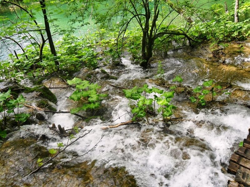 Stream Flowing over Rocks — Green, Serene, Spring