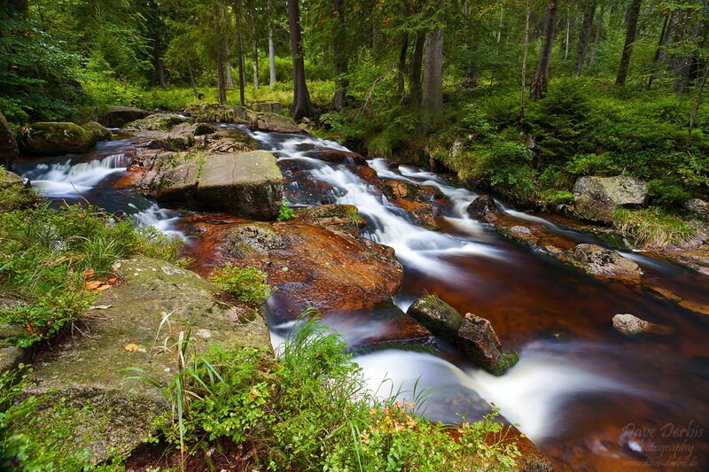 Stream Flowing over Rocks — Green, Serene, Summer, Photograph, Forest