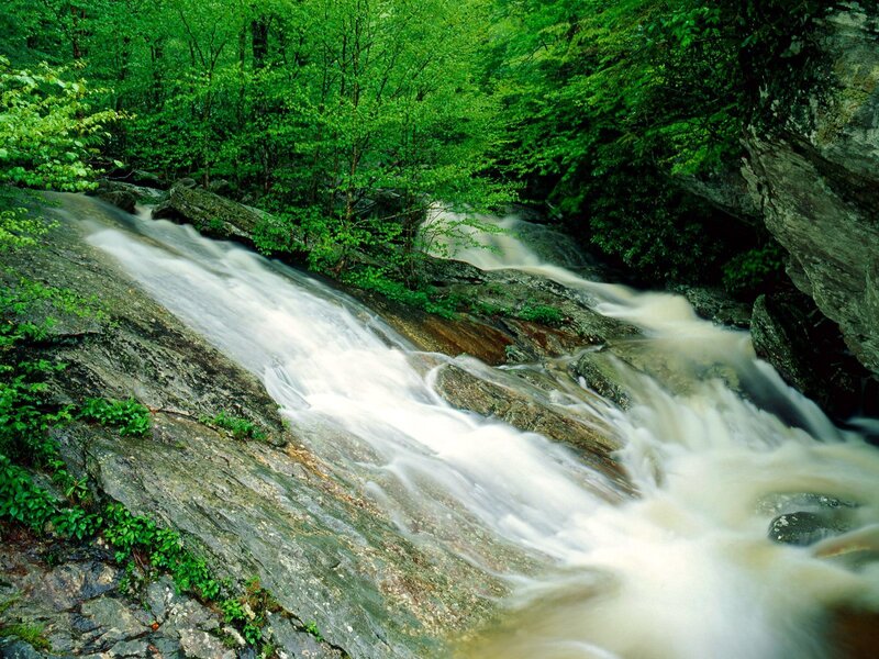 Stream Flowing over Rocks — Green, Serene, Summer, Photograph