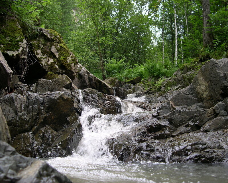 Stream Flowing over Rocks — Green, Serene, Summer, Photograph, Trees, Forest, Gray