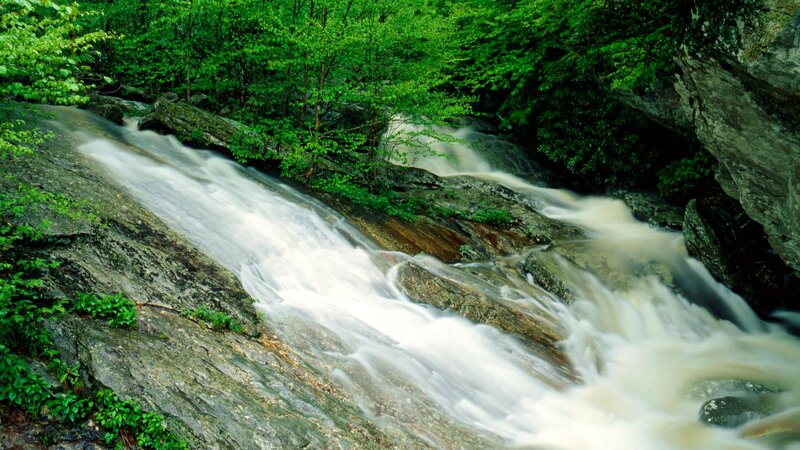 Stream Flowing over Rocks — Green, Serene, Summer, Photograph, Trees, Forest