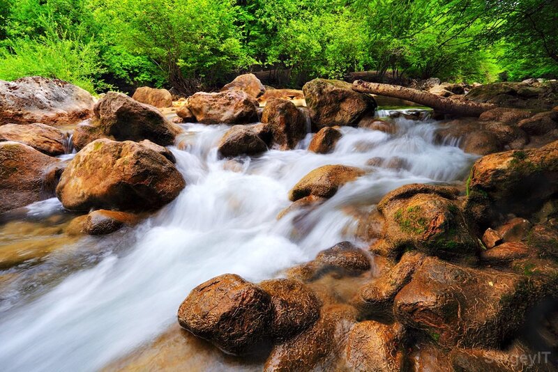 Stream Flowing over Rocks — Green, Serene, Summer, Photograph, Trees