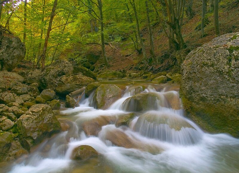 Stream Flowing over Rocks — Green, Serene