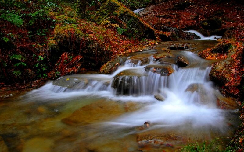 Stream Flowing over Rocks — Green