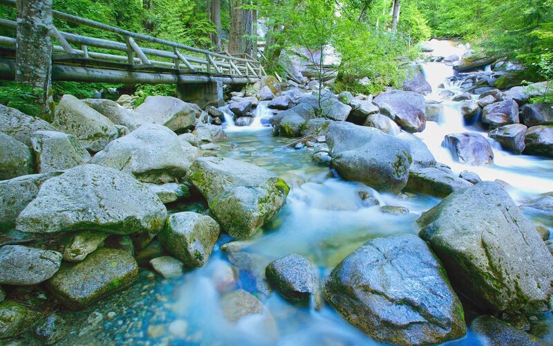 Stream flowing over rocks in forest