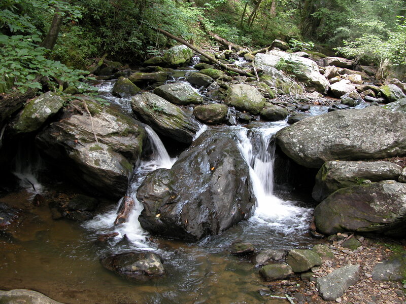 Stream flowing over rocks in forest