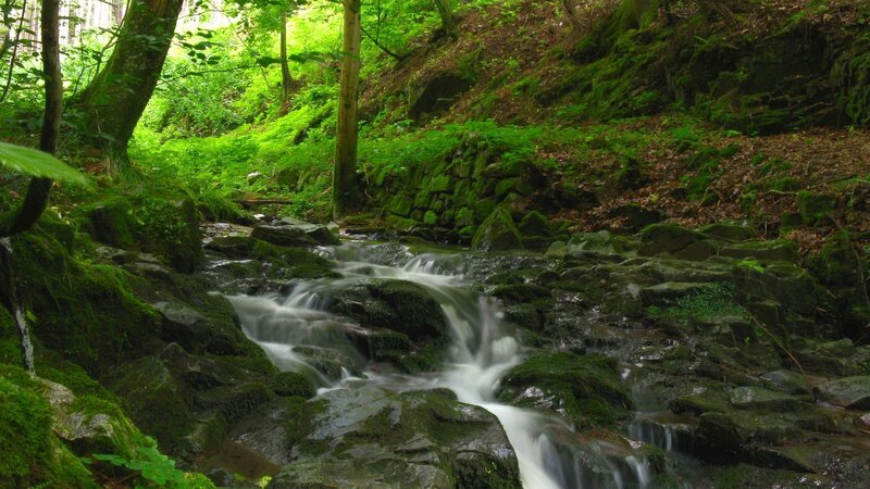 Stream Flowing over Rocks — Serene, Afternoon