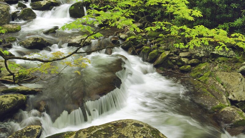 Stream Flowing over Rocks — Spring