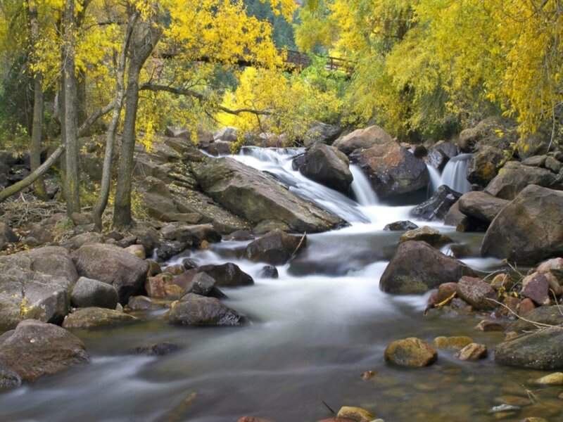 Stream Flowing over Rocks — Yellow, Serene, Autumn, Photograph