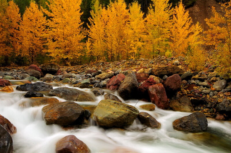 Stream Flowing over Rocks — Yellow, Serene, Autumn, Photograph, Trees