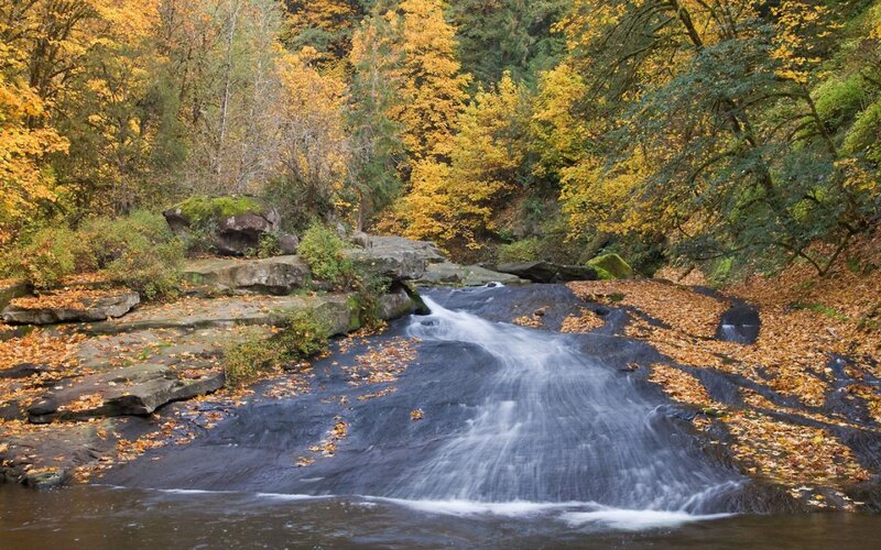Stream Flowing over Rocks — Yellow, Serene, Autumn