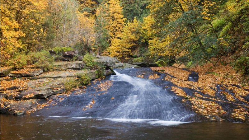 Stream Flowing over Rocks — Yellow, Serene