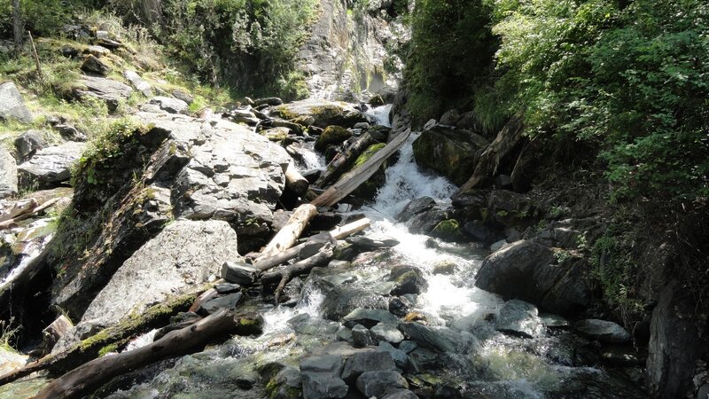 Stream flowing through a rocky forest