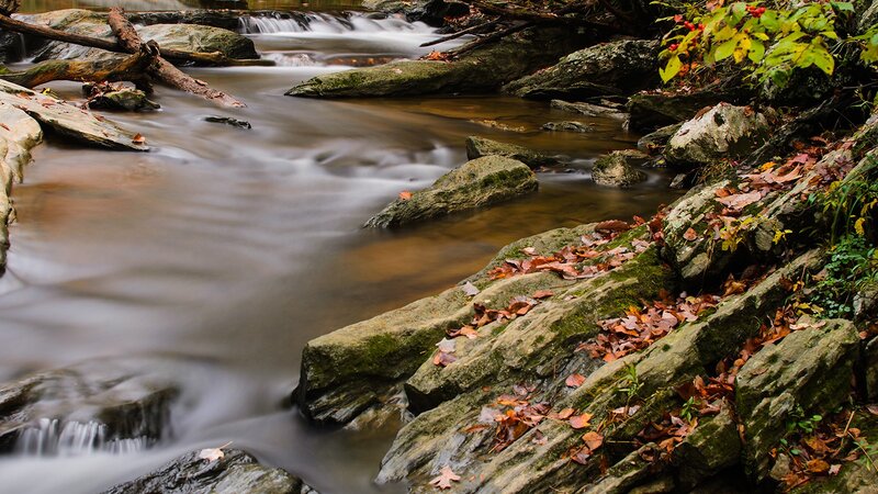 Stream flowing through autumn forest