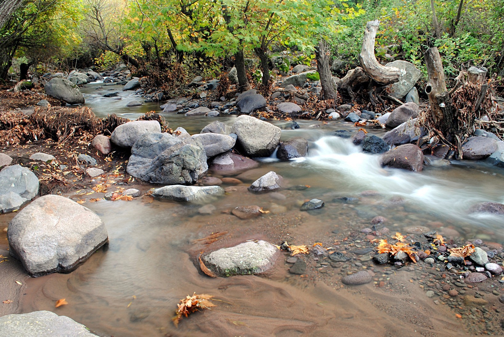 Stream flowing through autumn forest