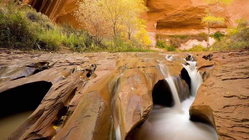 Stream Flowing Through Canyon — Brown, Serene, Autumn