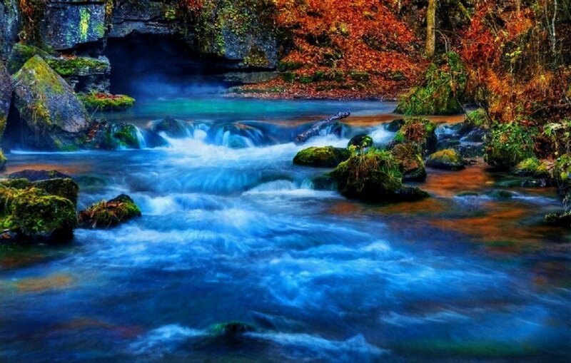 Stream Flowing Through Forest — Blue, Serene