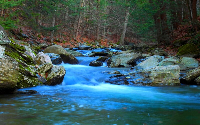 Stream Flowing Through Forest — Blue