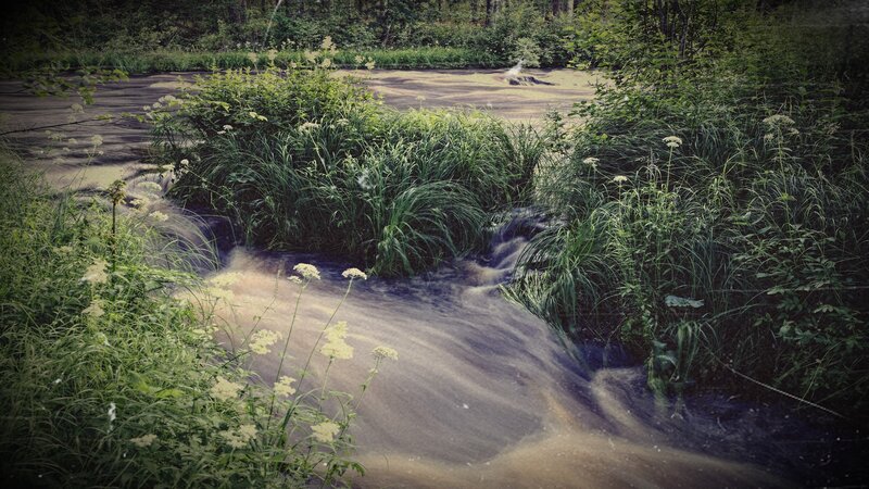 Stream Flowing Through Forest — Green, Serene, Afternoon, Photograph, River, Grass