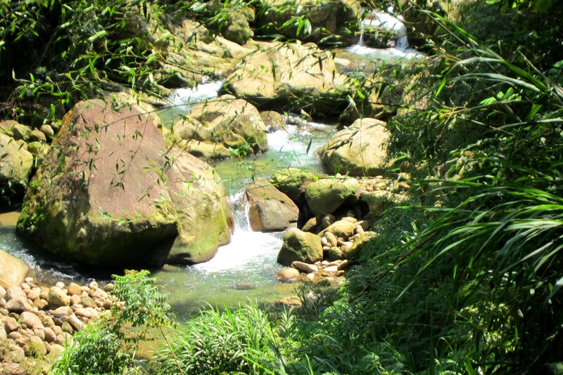 Stream Flowing Through Forest — Green, Serene, Afternoon, Photograph, Rocks, Plants