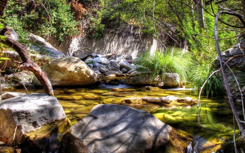 Stream Flowing Through Forest — Green, Serene, Afternoon, Photograph, Rocks, Trees, Grass, Brown, Yellow
