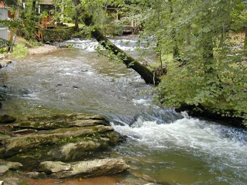 Stream Flowing Through Forest — Green, Serene, Afternoon, Photograph, Trees